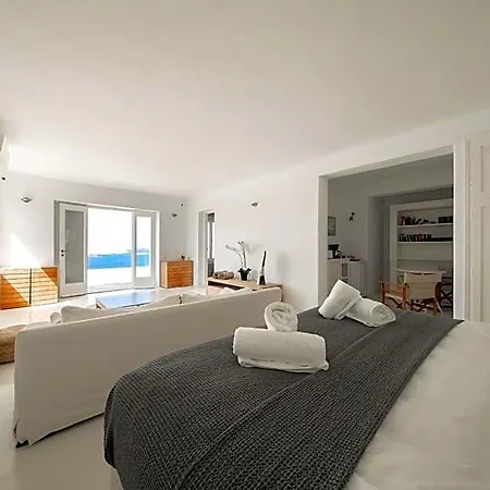 Joy Mykonos Boutique Ξενοδοχείο Άνω Μερά